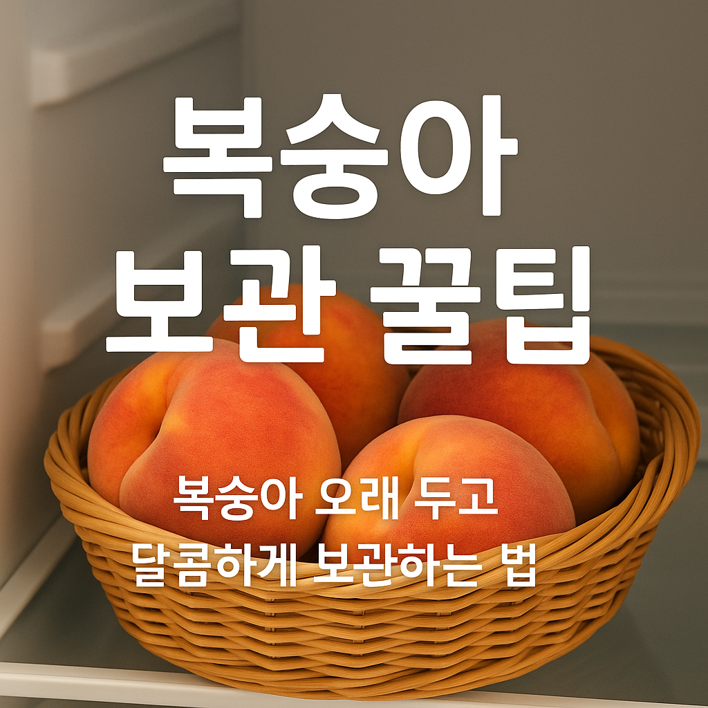복숭아 보관방법 &ndash; 오래 두고도 달콤하게 즐기는 꿀팁