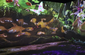 서울대공원윈더파크