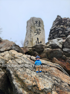 가을 단풍 낙엽 계방산 정상