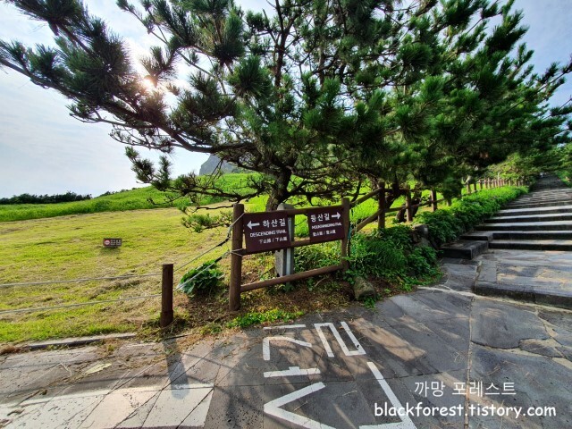 성산일출봉 올라가는길
