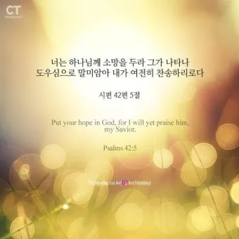 오늘의 성경 말씀 이사야 40장 의지_3