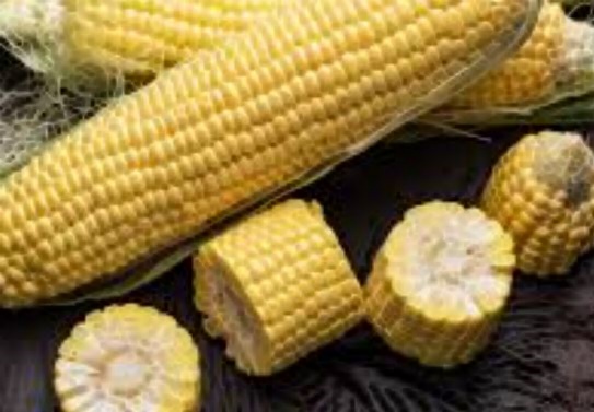 초당옥수수 보관법