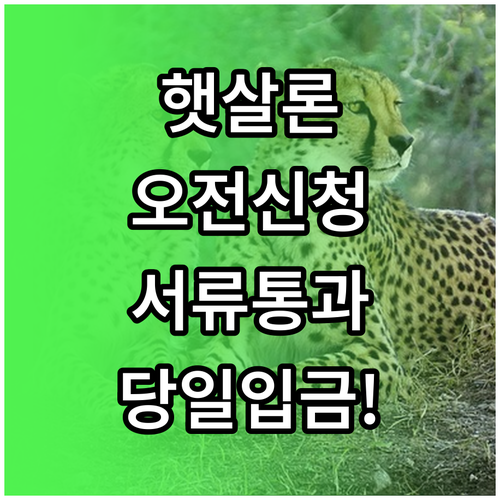 햇살론 서류 보완 없이 당일 입금 받..