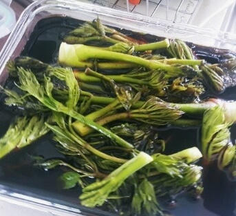 두릅 데치는 시간