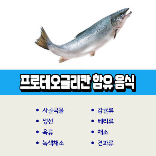 프로테오글리칸_함유_음식