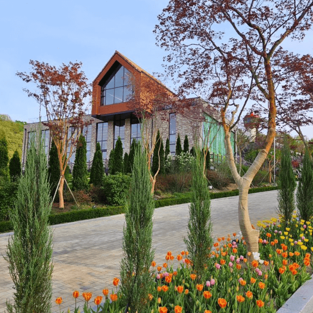 용인 자작나무숲 봄꽃축제