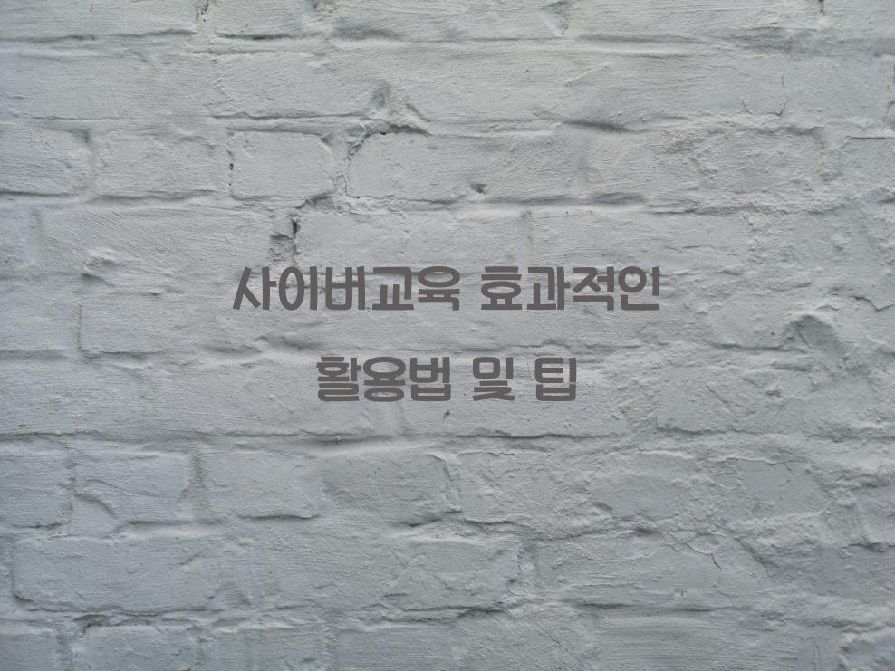 사이버교육