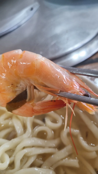 제부도 바지락 칼국수 맛집 1인 식사 가능 내돈내산 여행 후기