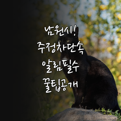 남원시 주정차 단속 알림 통합가입도우..