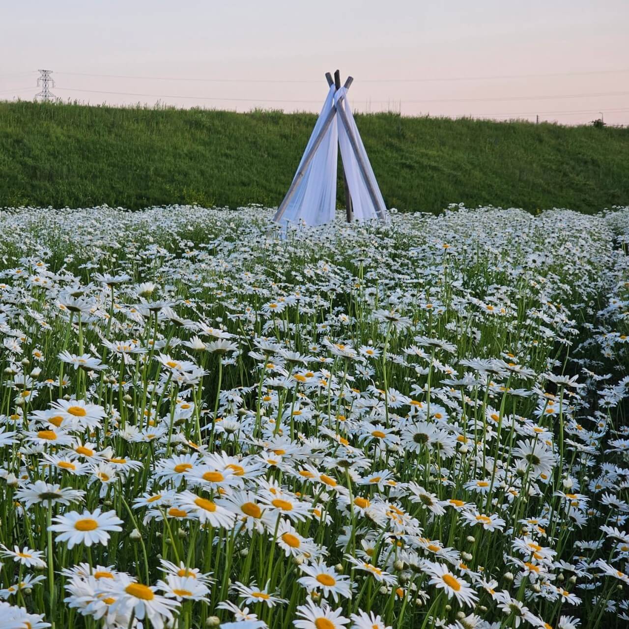 오늘N 대한민국 보물정원 강원 춘천 유기농 카페 오늘N 2503회