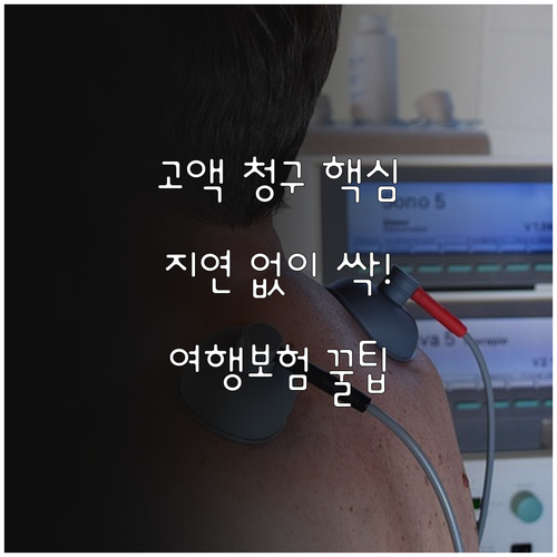 해외여행자보험 의료비 청구 고액 건 ..