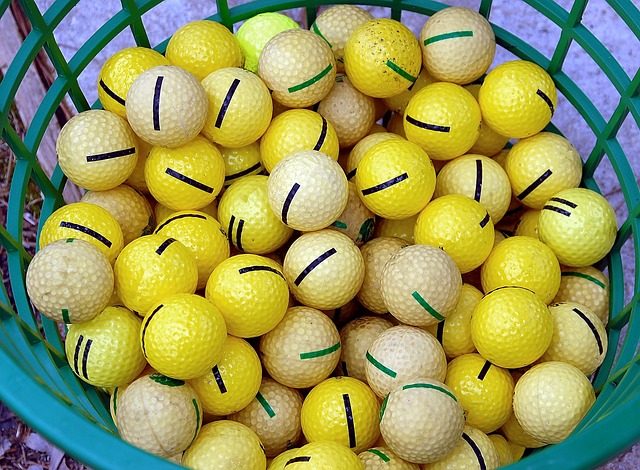 연습용 공 한바구니