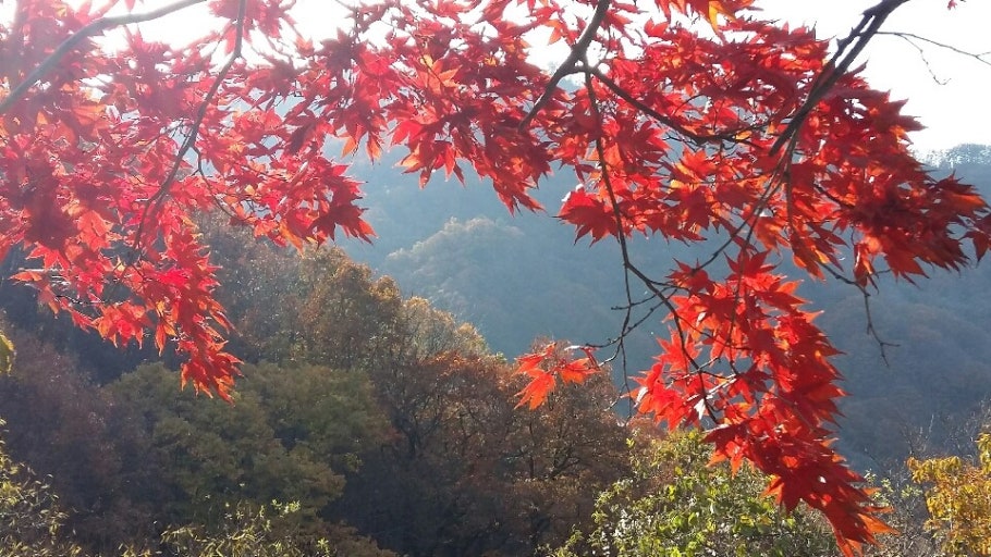 설악산 케이블카