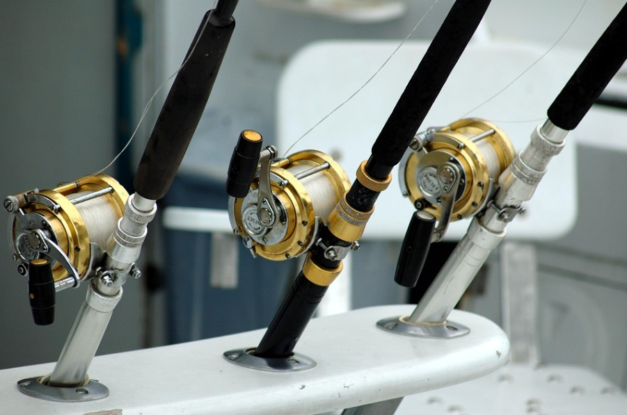 낚시 관련 사진