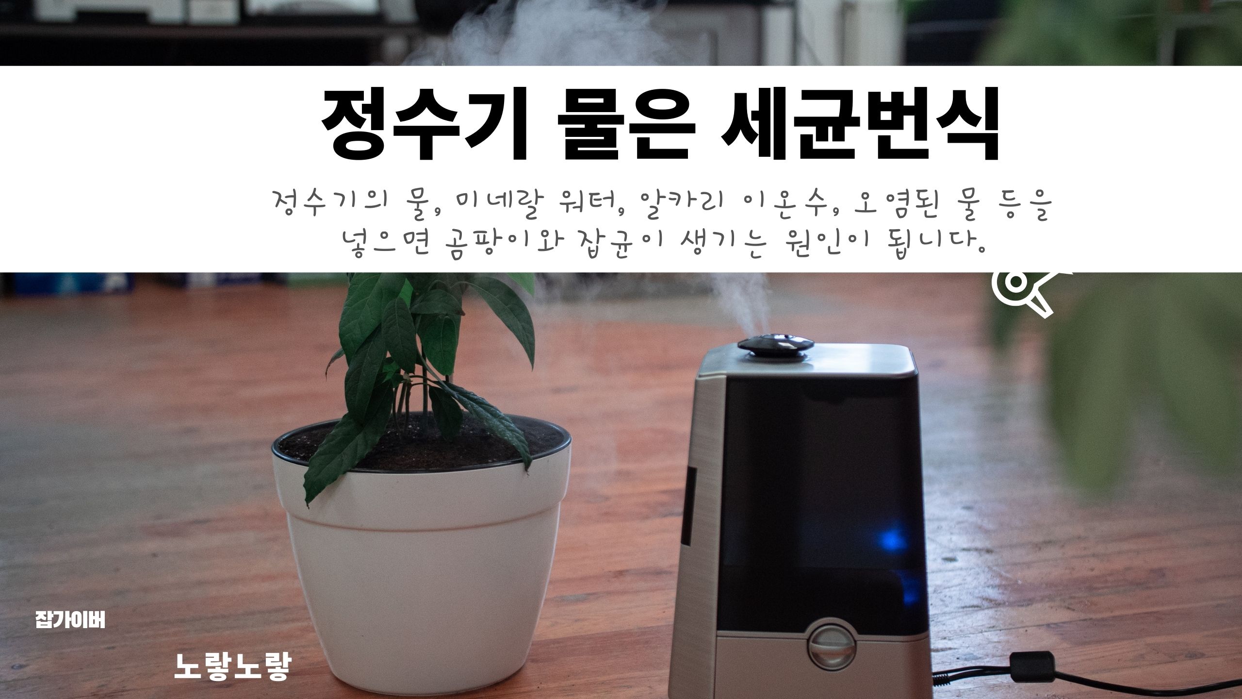 정수기 물과 수돗물의 세균 번식 차이를 설명하는 이미지