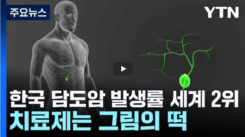 담도암 담도암증상 김규리 담도암명명백백캠페인 건강정보