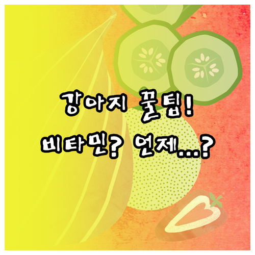 강아지 영양제 유산균, 오메가-3, ..