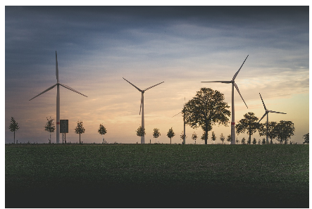 탄소중립포인트