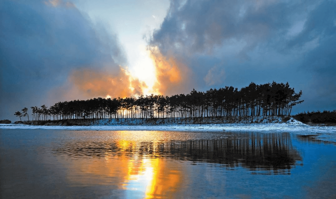 태안-운여해변-소나무