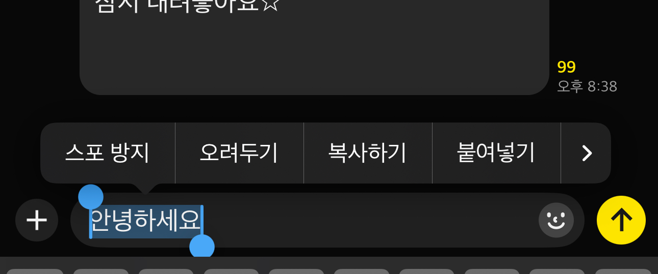 카카오톡 - 스포방지