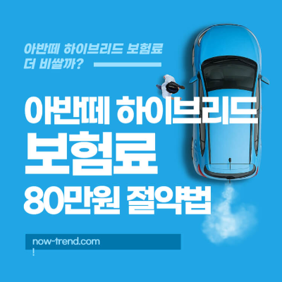 아반떼 하이브리드 보험료 80만 원 절약법 섬네일