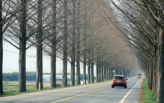 국내 드라이브 코스