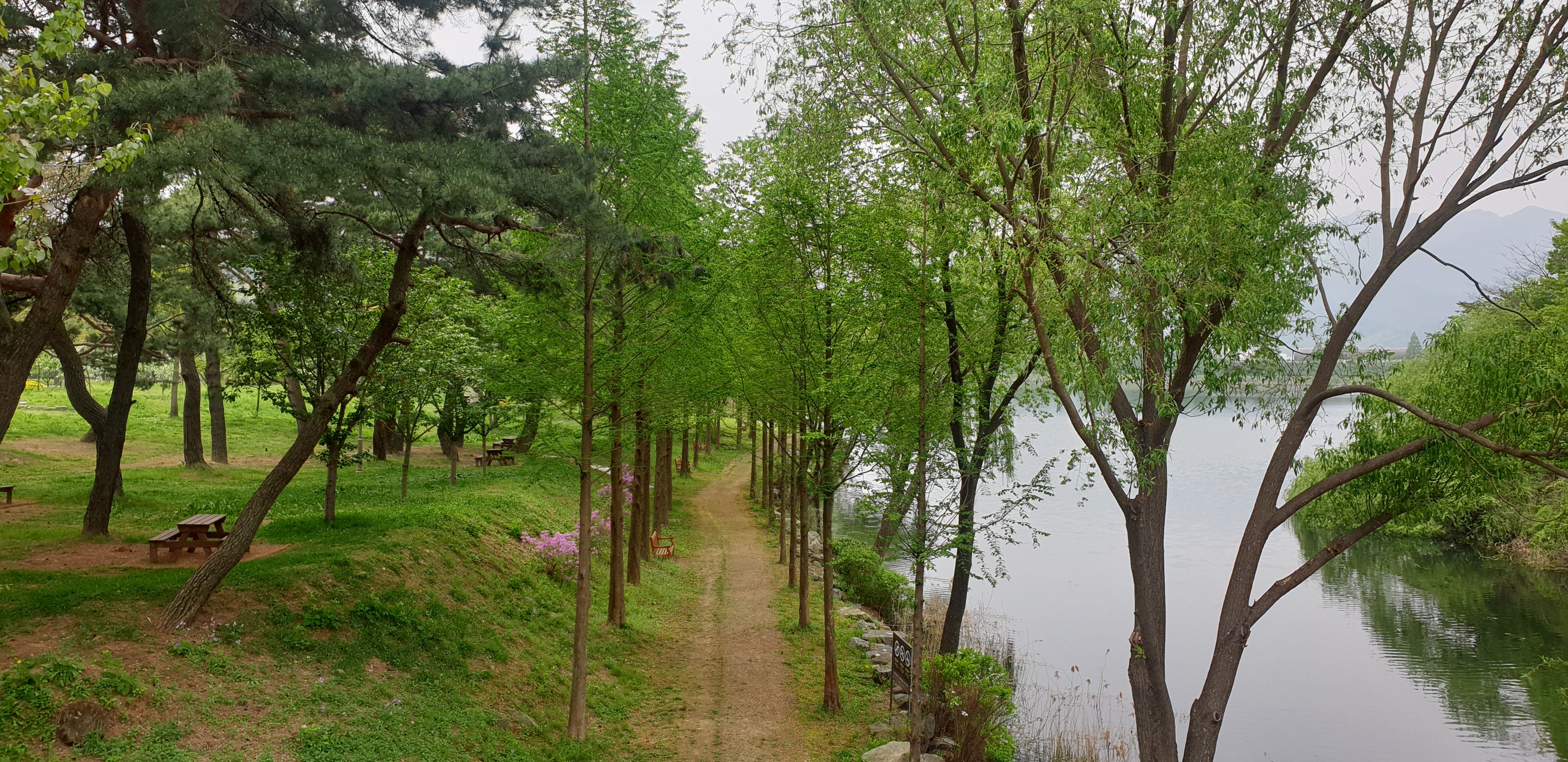 서울대공원 호수 산책로