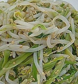 숙주나물의 효능 부작용 요리 고르는법