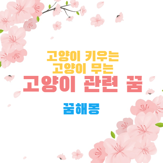 꿈해몽-썸네일