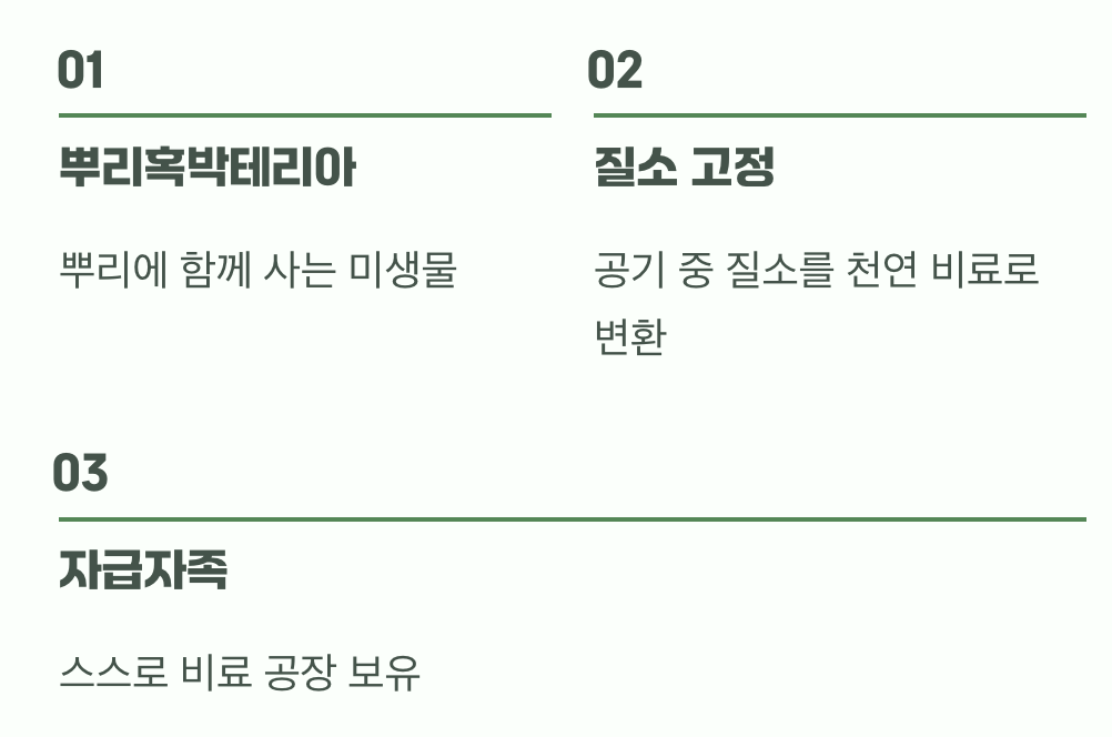 비결 4. 콩과 식물의 비밀, '공기 중의 비료'