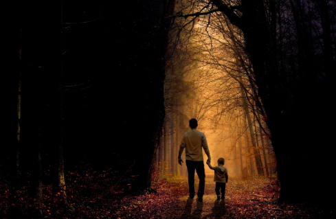 요양보호사 자격증 재발급