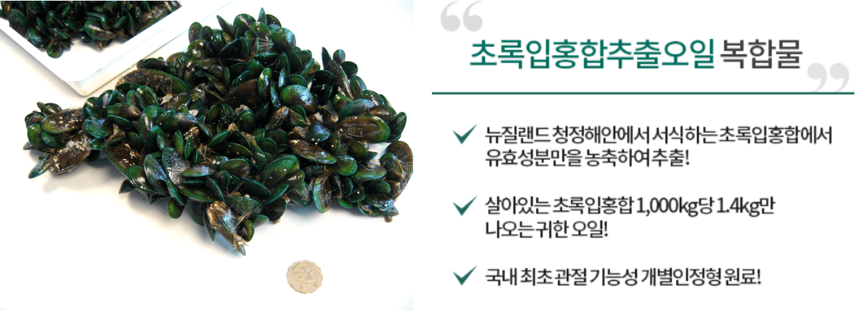 초록입-홍합-사진과-관절팔팔-효과-설명