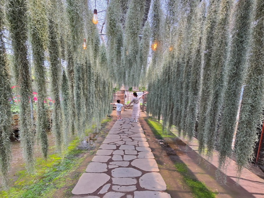 제주 보롬왓