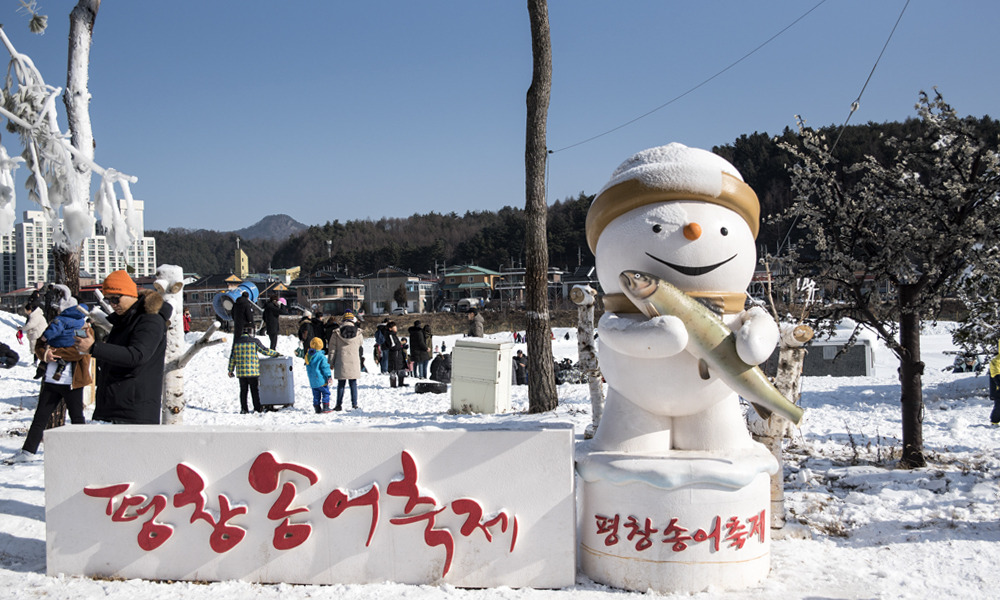 2025 평창 송어축제 예약