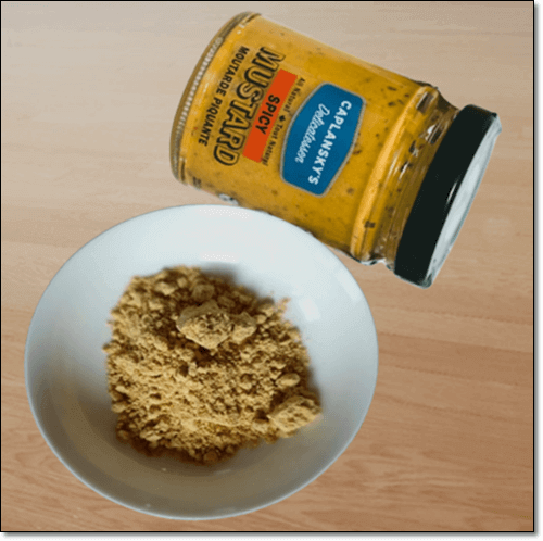 갓 씨앗 머스타드