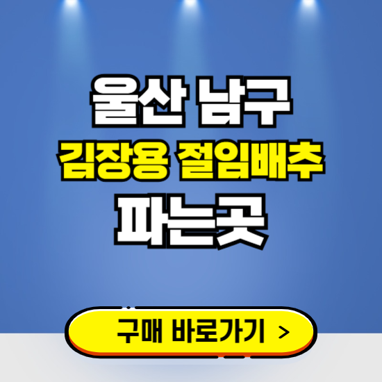 울산 남구 절임배추 사전예약 구입하는곳 ❘ 김장배추 파는곳 가격보기