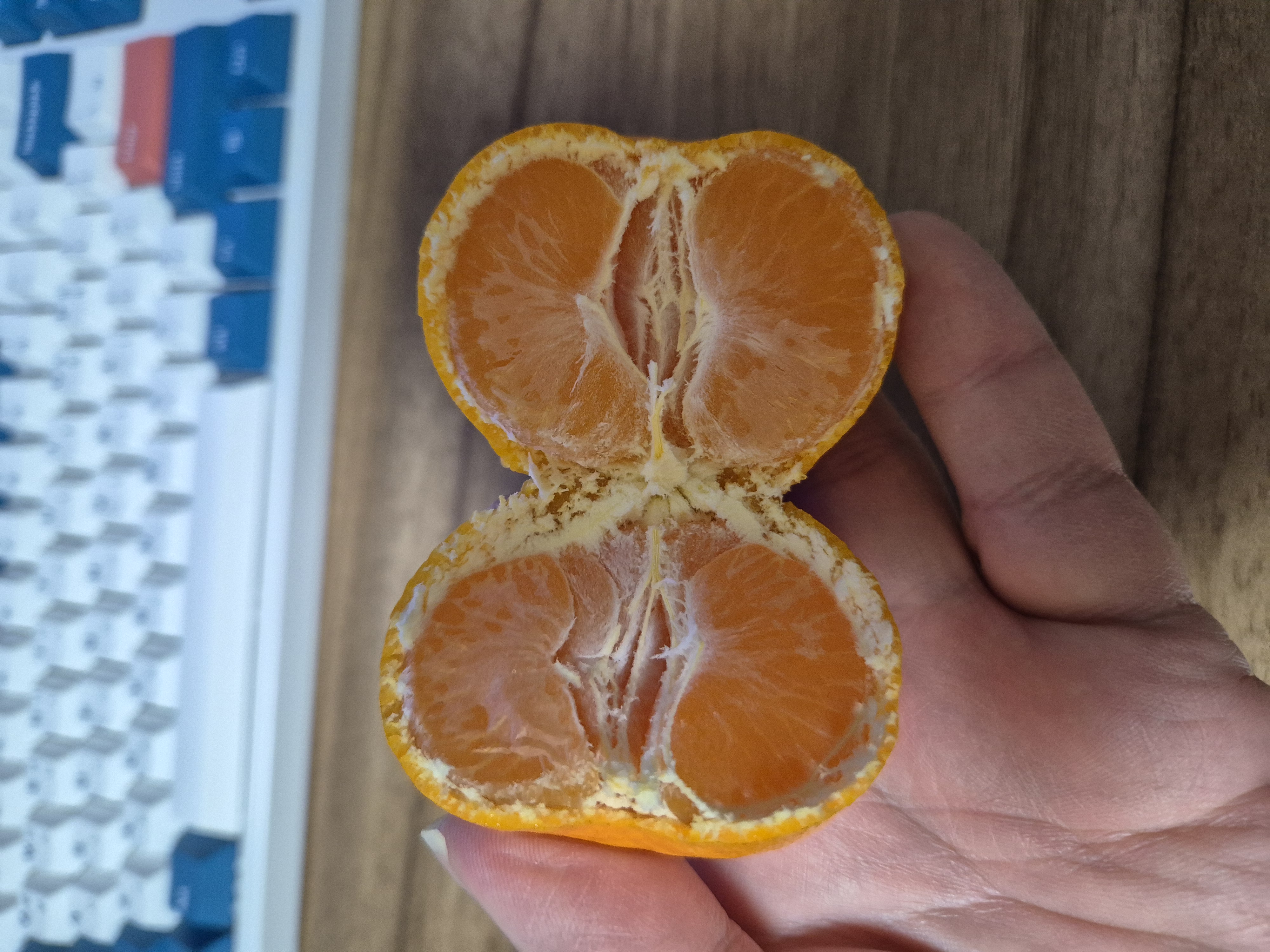 귤림원 맛있는 귤