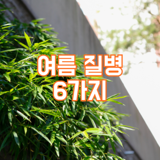 여름 질병 6가지! 예방법!