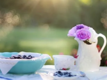 항산화가 풍부한 냉동 블루베리