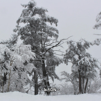 12월에 가볼만한 국내 여행지