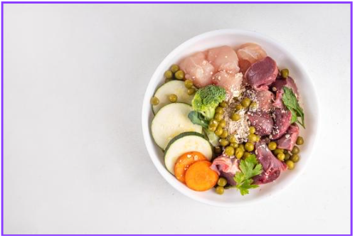 반려동물 건강식 필수 건강식 7가지