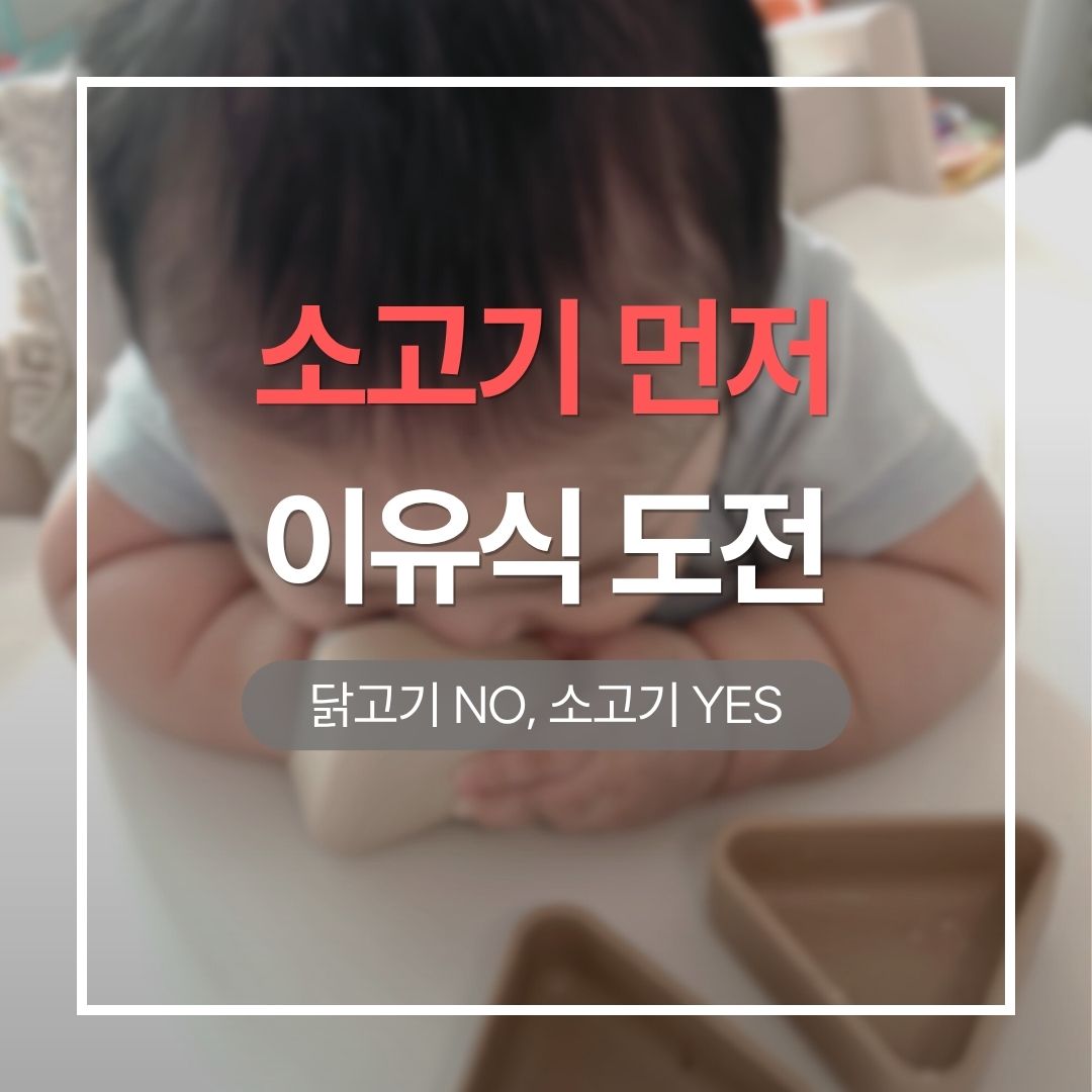 180일 이유식에서 닭고기보다 소고기를 먼저 시작한 아기의 후기 이미지