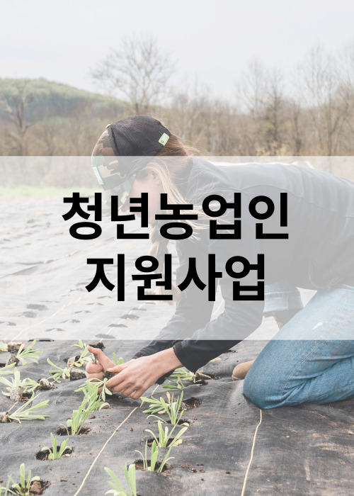 2024년 청년농업인지원사업