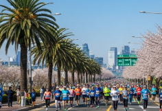 2026년 마라톤 대회 일정