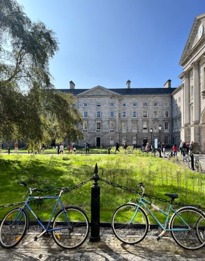 여학생 신설학과 인기 순위 (데이터, 미래직업, 트렌드)