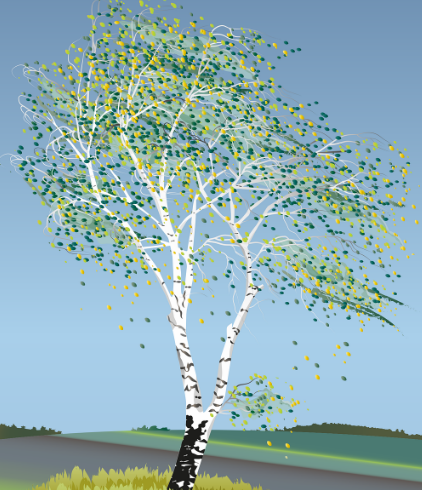 시 희미한 옛사랑의 그림자 내용과 관련된 이미지