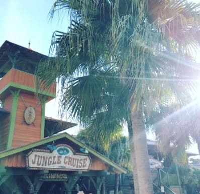 야자수 뒤로 햇빛이 비치고 옆으로 '정글 크루즈'라고 영어로 적힌 간판이 있다.