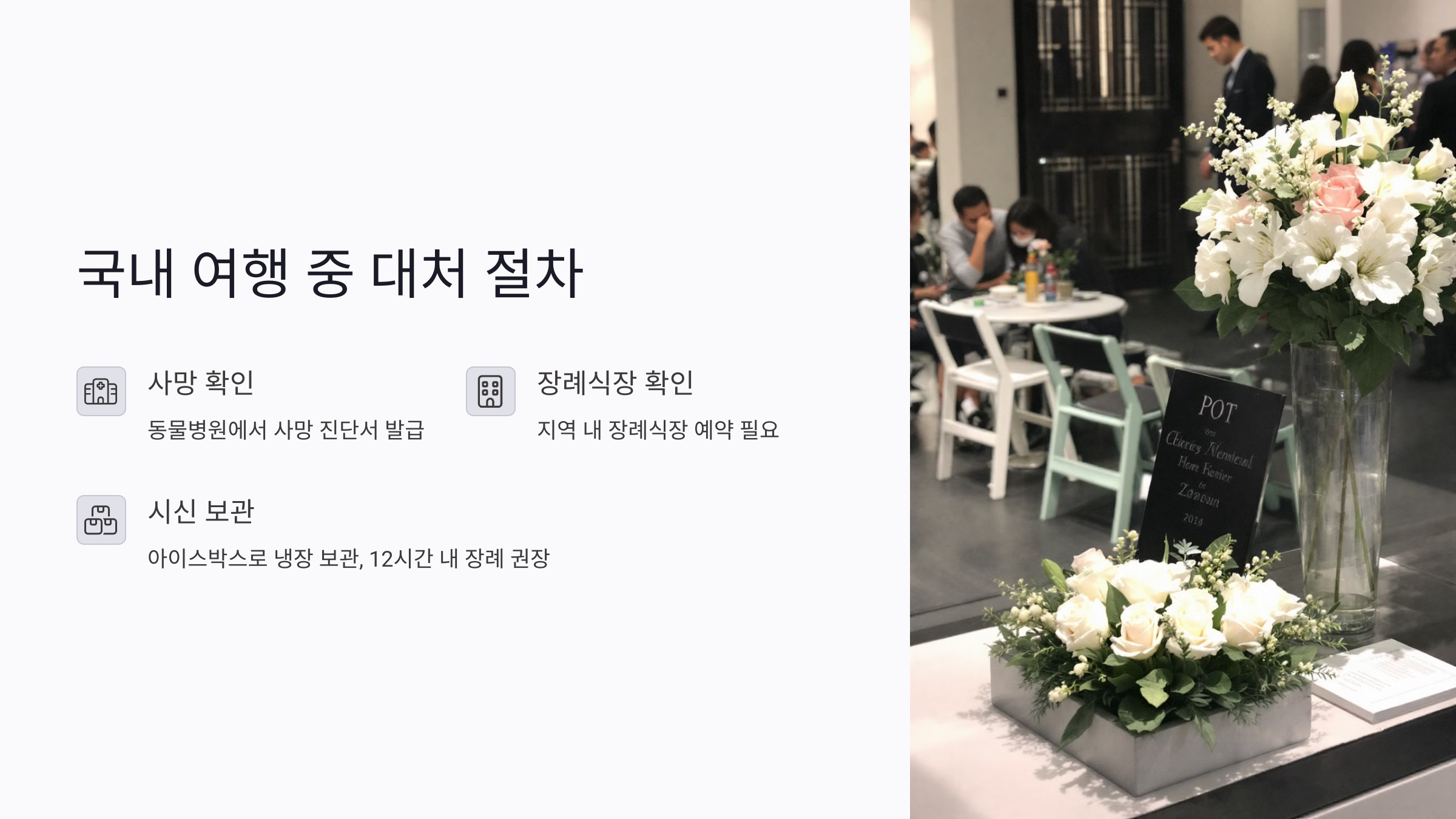 국내 여행 중 반려동물 사망 시 대처 절차
🐾가장 먼저 확인할 사항