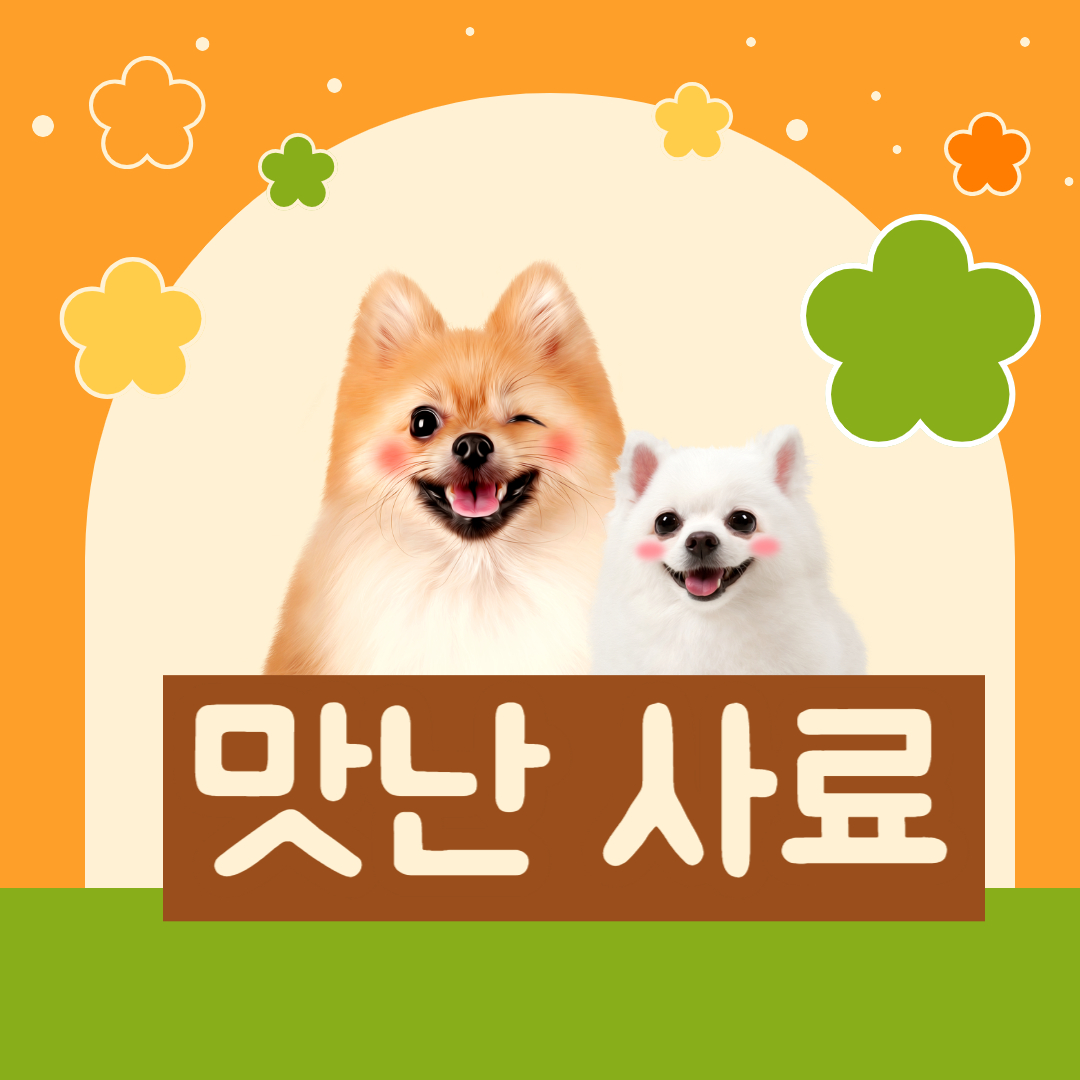 강아지 두 마리