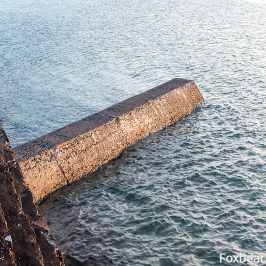 후쿠시마 오염수 방류